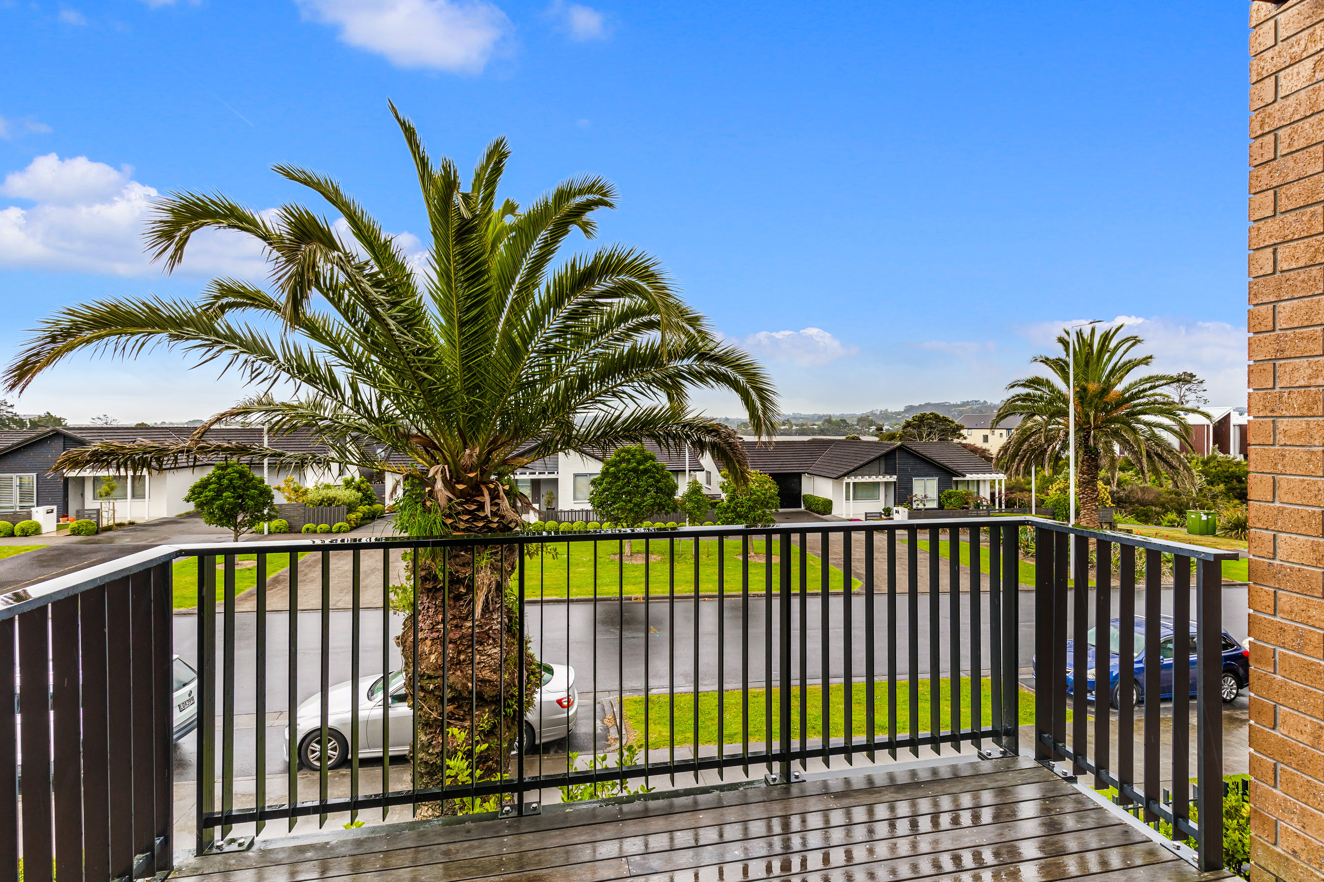 View from Hobsonville Point property looking onto Buckley Avenue with palm tree   Jev Matt